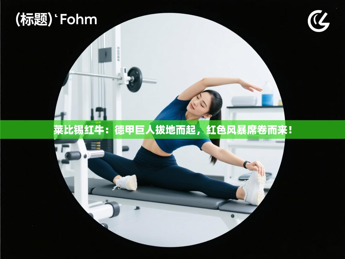 莱比锡红牛：德甲巨人拔地而起，红色风暴席卷而来！  第1张