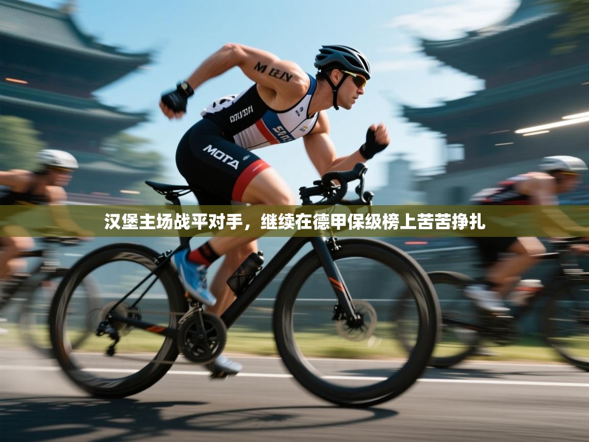 汉堡主场战平对手，继续在德甲保级榜上苦苦挣扎  第2张