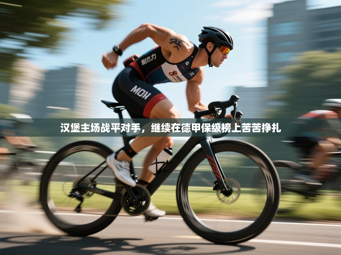 汉堡主场战平对手，继续在德甲保级榜上苦苦挣扎  第1张