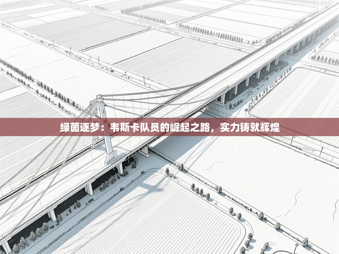 绿茵逐梦:韦斯卡队员的崛起之路,实力铸就辉煌 第1张