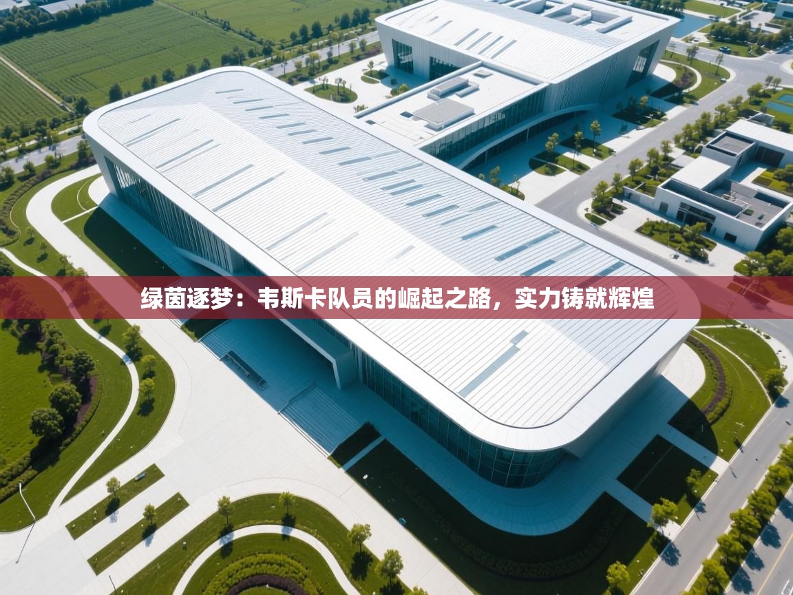 绿茵逐梦:韦斯卡队员的崛起之路,实力铸就辉煌 第2张